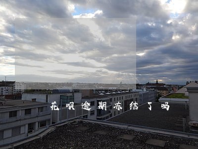 花呗逾期冻结了吗 花呗逾期冻结了吗