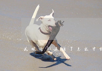 花呗逾期冻结了怎么才能开回来 花呗逾期冻结了怎么才能开回来