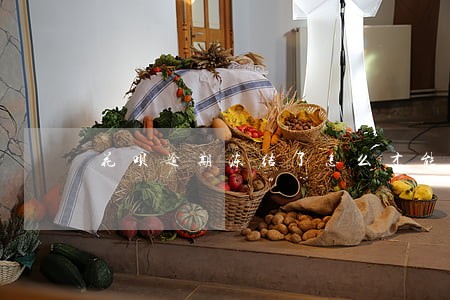 花呗逾期冻结了怎么才能开通 花呗逾期冻结了怎么才能开通