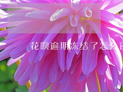 花呗逾期冻结了怎么还款