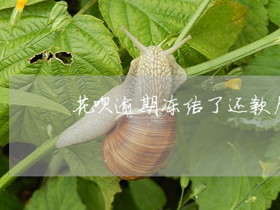 花呗逾期冻结了还款后能使用吗 花呗逾期冻结了还款后能使用吗