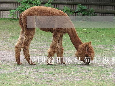 花呗逾期冻结何时恢复正常 花呗逾期冻结何时恢复正常