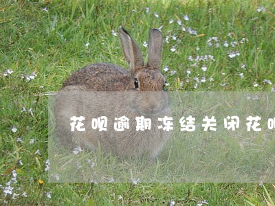 花呗逾期冻结关闭花呗 花呗逾期冻结关闭花呗