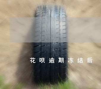 花呗逾期冻结后 花呗逾期冻结后