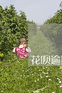 花呗逾期冻结后多久可以使用 花呗逾期冻结后多久可以使用