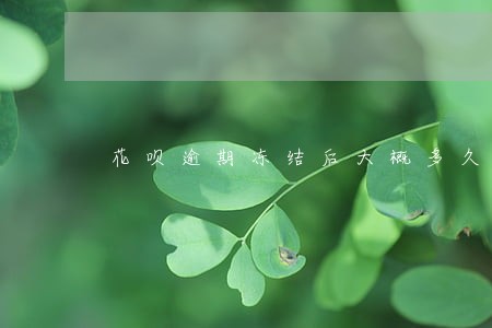 花呗逾期冻结后大概多久恢复正常 花呗逾期冻结后大概多久恢复正常