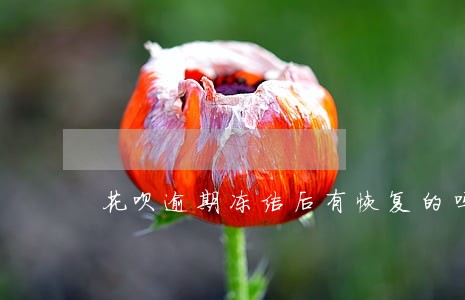 花呗逾期冻结后有恢复的吗 花呗逾期冻结后有恢复的吗