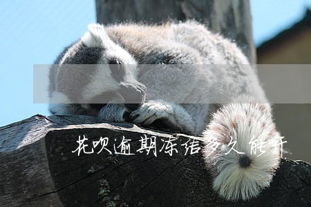 花呗逾期冻结多久能开 花呗逾期冻结多久能开