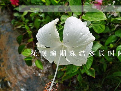 花呗逾期冻结多长时间解封 花呗逾期冻结多长时间解封