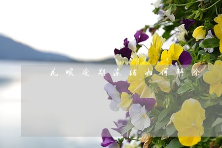 花呗逾期冻结如何解除 花呗逾期冻结如何解除