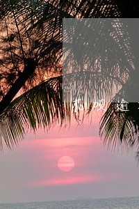 花呗逾期冻结怎么恢复使用 花呗逾期冻结怎么恢复使用