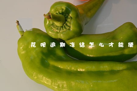 花呗逾期冻结怎么才能使用 花呗逾期冻结怎么才能使用