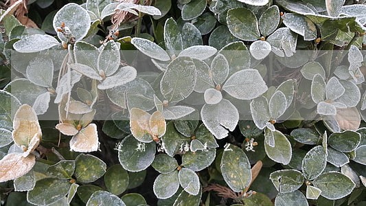 花呗逾期冻结怎么提 花呗逾期冻结怎么提