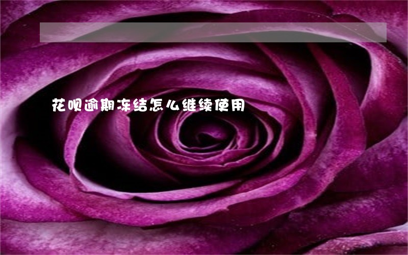 花呗逾期冻结怎么继续使用