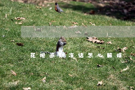 花呗逾期冻结怎么解除 花呗逾期冻结怎么解除