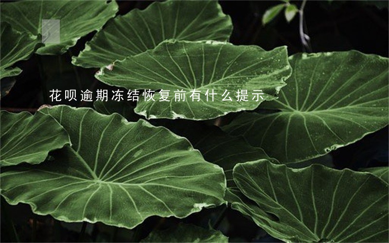 花呗逾期冻结恢复前有什么提示 花呗逾期冻结恢复前有什么提示