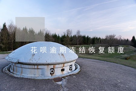 花呗逾期冻结恢复额度 花呗逾期冻结恢复额度