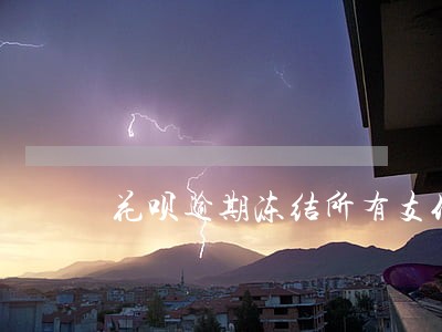 花呗逾期冻结所有支付方式