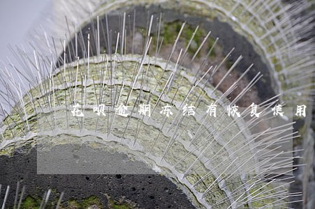 花呗逾期冻结有恢复使用的吗