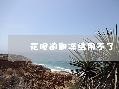 花呗逾期冻结用不了 花呗逾期冻结用不了