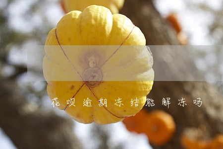 花呗逾期冻结能解冻吗 花呗逾期冻结能解冻吗
