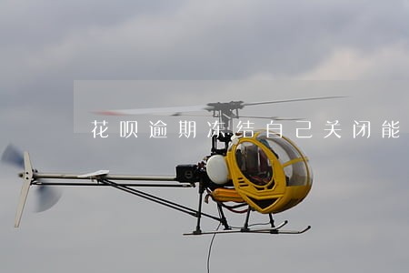 花呗逾期冻结自己关闭能开吗 花呗逾期冻结自己关闭能开吗