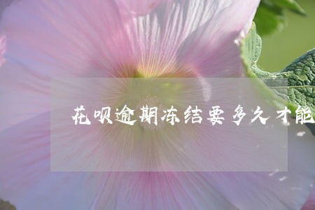 花呗逾期冻结要多久才能解除 花呗逾期冻结要多久才能解除