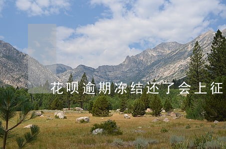 花呗逾期冻结还了会上征信吗 花呗逾期冻结还了会上征信吗