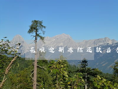 花呗逾期冻结还款后多久能恢复 花呗逾期冻结还款后多久能恢复