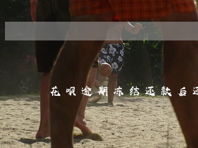 花呗逾期冻结还款后还能使用吗 花呗逾期冻结还款后还能使用吗