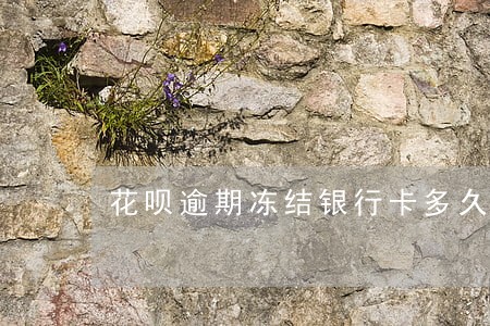 花呗逾期冻结银行卡多久能解冻 花呗逾期冻结银行卡多久能解冻