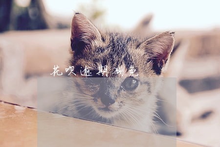 花呗逾期减免 花呗逾期减免