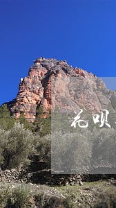 花呗逾期减免利息审核需要多久 花呗逾期减免利息审核需要多久