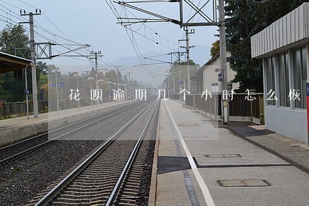 花呗逾期几个小时怎么恢复 花呗逾期几个小时怎么恢复