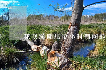 花呗逾期几个小时有问题吗 花呗逾期几个小时有问题吗