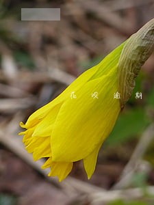 花呗逾期几个月会有什么后果 花呗逾期几个月会有什么后果