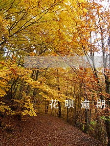 花呗逾期几个月再还上信用分 花呗逾期几个月再还上信用分