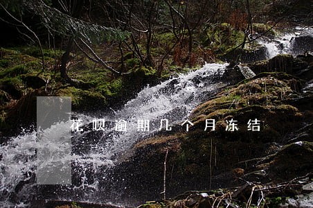 花呗逾期几个月冻结 花呗逾期几个月冻结