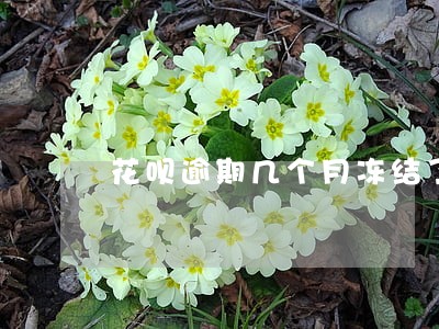 花呗逾期几个月冻结了 花呗逾期几个月冻结了