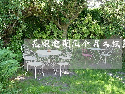 花呗逾期几个月又恢复了 花呗逾期几个月又恢复了