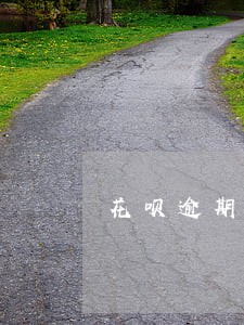 花呗逾期几个月后还清能撤证吗 花呗逾期几个月后还清能撤证吗