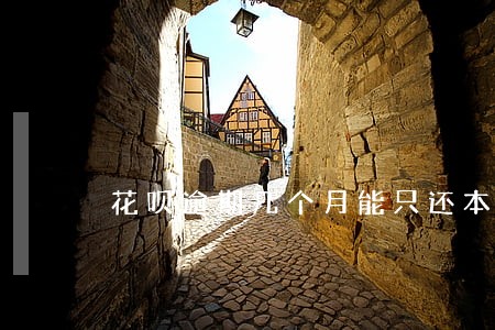花呗逾期几个月能只还本金吗 花呗逾期几个月能只还本金吗