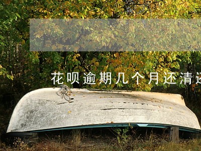 花呗逾期几个月还清还能用吗 花呗逾期几个月还清还能用吗