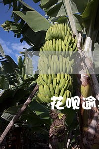 花呗逾期几分钟会影响征信吗 花呗逾期几分钟会影响征信吗