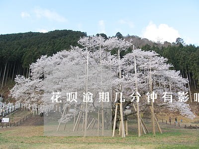 花呗逾期几分钟有影响信用吗 花呗逾期几分钟有影响信用吗