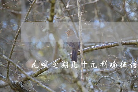 花呗逾期几十元影响征信吗 花呗逾期几十元影响征信吗