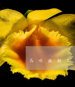 花呗逾期几十块钱半年了 花呗逾期几十块钱半年了