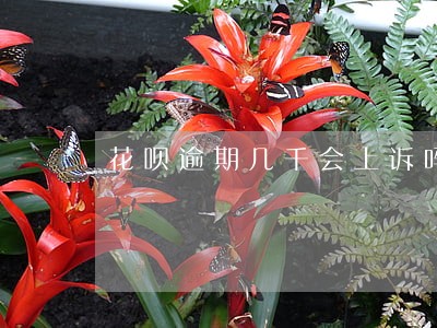 花呗逾期几千会上诉吗 花呗逾期几千会上诉吗