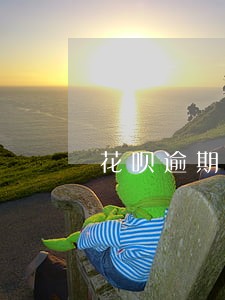 花呗逾期几千会上门吗 花呗逾期几千会上门吗