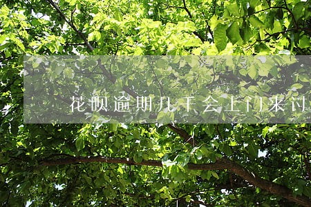 花呗逾期几千会上门来讨债吗 花呗逾期几千会上门来讨债吗